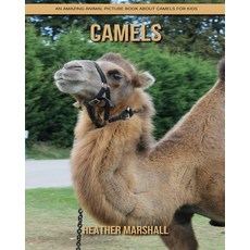 Camels: An Amazing Animal Picture Book about Camels for Kids Paperback, Independently Published