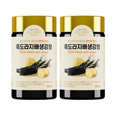 한보감 흑도라지배생강청, 2개, 1개입, 260g