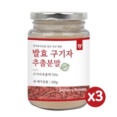 남양구기자500g