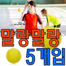 β베카99ː처음 배우는 아이를 위한 안전 테니 스 폼볼 X 5개입 테니스소프트볼 테니스 테니스폼볼 어린이공 테니스볼+lsl65fe+lsl65fe, 선▧_KW 소프트테니 스폼볼