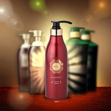 블레스드 한방 오 샴푸 탈모증상완화 두피영양, 1개, 500ml