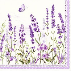 토탈하우스 독일냅킨 디자인냅킨 냅킨아트 파티용 일러스트 수입냅킨 3겹 20매입, 라벤더필드-7559-독일냅킨, 1팩, 20개입