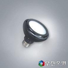 goldspoon_우진조명_ LED PAR30 확산형 15W. led레일등 ledpar30 * GS+CP_PJW, 금수저 1_JW, 금수저 주광색_JW