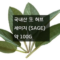 미트팬트리 국내산 生 세이지잎 Sage 약 100g 헬씨한 허브의 대표주자