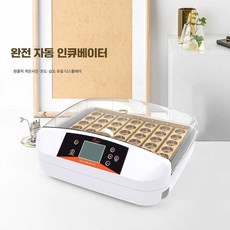 달걀 자동 부화기 병아리 자동 회전 온도 조절기 55개, 지능형 전자동-41개, 1개