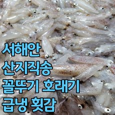 꼴뚜기회