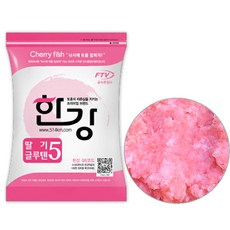 여의도한강요트