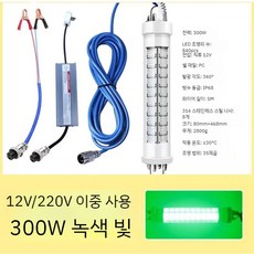 수중 집어등 갈치 집어램프 라이트 풀치 볼락, 300W 녹색 220V 12V 범용