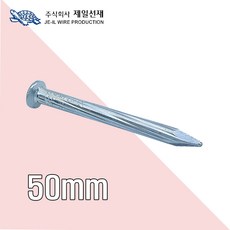 제일선재 콘크리트못50mm x 100g, 1개