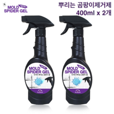 장판곰팡이제거