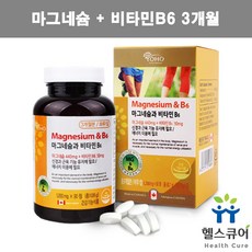 비타민하우스마그네슘350
