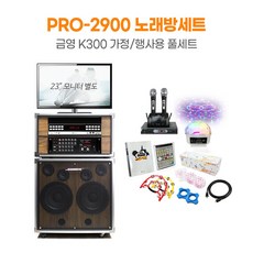 PRO-2200 금영 이동식 노래방기기 블랙/업소용반주기 태진K2/유선마이크 2개 상품 이미지