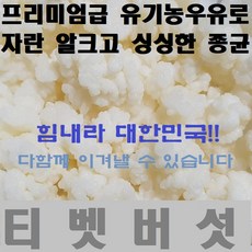 티벳버섯 케피어그레인, 1개, 30g(대용량)