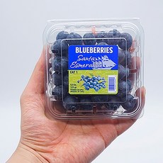 칠레산 생 블루베리 산지직송 자연의 맛을 그대로 싱그러운 신선함, 1개, 칠레 생 블루베리14mm1kg(125gx8팩)
