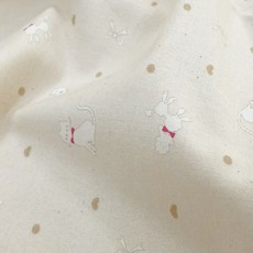 천고아 융원단 고양이의 하루 6321