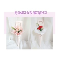 플라워앤벌룬 한송이 카네이션 캐리어 핑크 레드, 추가안함