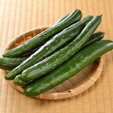 자연맛남 [산지직송] 국내산 취청오이 특품 3kg, 1개