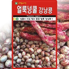 아람종묘 얼룩넝쿨강낭콩 씨앗 30g 넝쿨성 얼룩콩 씨 종자