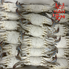 국내산 연평도 가을 숫꽃게 급냉꽃게 제철꽃게 살이꽉찬 숫꽃게, 소, 1개, 3kg