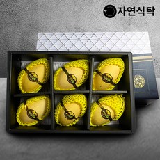 태국망고젤리
