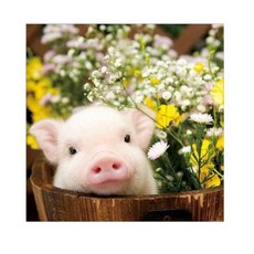 돼지보석십자수