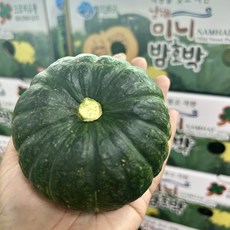 남해 미니밤호박 보우짱 3kg(7~10과)