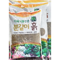 바로커상토