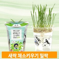 코딩키트식물