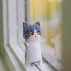 반려동물양모펠트