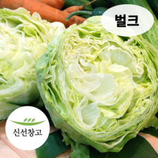 샐러드용 식자재용 국내산 양상추, 12개