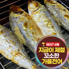 [며느리컴백] 고소함 폭발하는 최상급 가을 전어회 전어 구이 손질 후 무게, 1세트, 500g(전어구이)