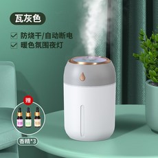 lg가열식가습기