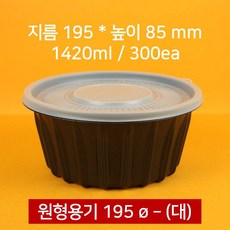 195파이대