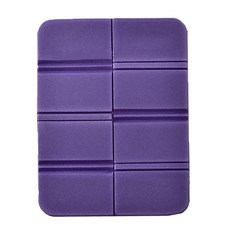 파크론피크닉시트