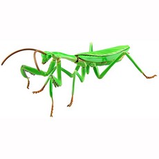 5d5a7c8dd87ec2792b57c9477d6830f2a247250c39c1ea492c4e0b713233.jpg