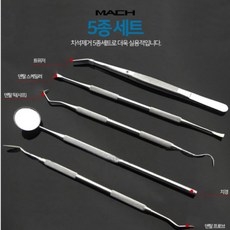 익스플로러치석제거