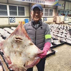 흑산도 홍어 g 숙성 삭힌 국내산 삼합 대청도 홍어애 산지직송 무침 회 건조, 250g (약한숙성) (1-2인분)