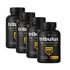 뉴트라챔스 트리뷸러스 2000mg 마카 블랙페퍼 캡슐 NutraChamps Tribulus, 4개, 90정