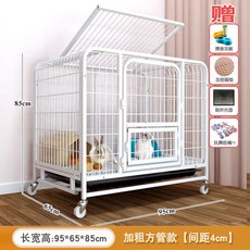 막심이네케이지 TOP01