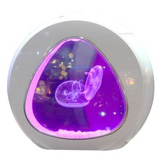 해파리키우기 물멍 구피 미니어항 수조 해수어 수초 베타, C. 4L 해파리 수조 세트 (대서양 가시 1개) 5세