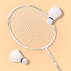 미즈노 카보 프로 829 배드민턴라켓 입문자 동호인용 방과후