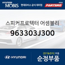 베라크루즈앰프