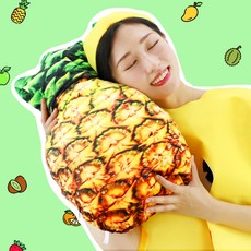 바퀴벌레쿠션