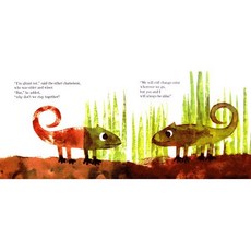 A Color of His Own Board Books, Alfred A. Knopf Books for Young Readers