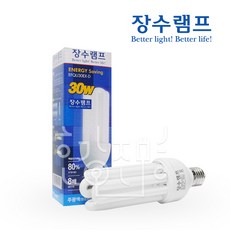 30w전구