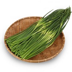 21년 수확 남해 햇 마늘종 마늘쫑, 2kg(특품)
