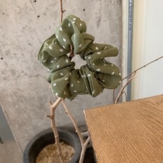 똥머리머리띠도트