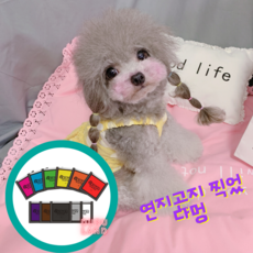 오포즈 OPAWZ 반려동물 볼터치 펫 헤어초크, 핫핑크
