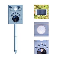 큰소리새쫓기폭죽