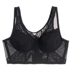 골지앞지퍼브라